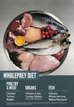 ORIJEN Guardian 8 Free-Run Chicken, Wild-Caught Salmon & Rabbit Dry Cat Food, 4-lb 8 ORIJEN Guardian 8 Free-Run Chicken, Wild-Caught Salmon & Rabbit Dry Cat Food, 4-lb -Staytonanimal Sales 2024 3 3Kf4hr1