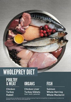 ORIJEN Guardian 8 Free-Run Chicken, Wild-Caught Salmon & Rabbit Dry Cat Food, 4-lb 3 ORIJEN Guardian 8 Free-Run Chicken, Wild-Caught Salmon & Rabbit Dry Cat Food, 4-lb - Image 3