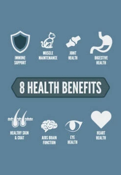 ORIJEN Guardian 8 Free-Run Chicken, Wild-Caught Salmon & Rabbit Dry Cat Food, 4-lb 9 ORIJEN Guardian 8 Free-Run Chicken, Wild-Caught Salmon & Rabbit Dry Cat Food, 4-lb -Staytonanimal Sales 2024 4 r7ZknTT