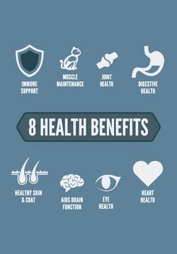 ORIJEN Guardian 8 Free-Run Chicken, Wild-Caught Salmon & Rabbit Dry Cat Food, 4-lb 4 ORIJEN Guardian 8 Free-Run Chicken, Wild-Caught Salmon & Rabbit Dry Cat Food, 4-lb - Image 4