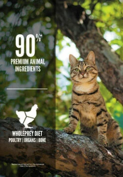 ORIJEN Guardian 8 Free-Run Chicken, Wild-Caught Salmon & Rabbit Dry Cat Food, 4-lb 10 ORIJEN Guardian 8 Free-Run Chicken, Wild-Caught Salmon & Rabbit Dry Cat Food, 4-lb -Staytonanimal Sales 2024 5 4Zmpun8