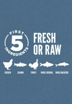 ORIJEN Guardian 8 Free-Run Chicken, Wild-Caught Salmon & Rabbit Dry Cat Food, 4-lb 11 ORIJEN Guardian 8 Free-Run Chicken, Wild-Caught Salmon & Rabbit Dry Cat Food, 4-lb -Staytonanimal Sales 2024 6