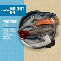 ORIJEN Amazing Grains Six Fish Dry Dog Food, 4-lb 13 ORIJEN Amazing Grains Six Fish Dry Dog Food, 4-lb -Staytonanimal Sales 2024 ORIJEN Amazing Grains Six Fish Dry Dog Food mSjbx06