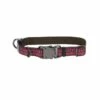 K9 Explorer Reflective Adjustable Dog Collar, Berry, 1-in X 12-18-in