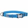 K9 Explorer Brights Reflective Adjustable Dog Collar, Lake, 5/8-in X 10-14-in