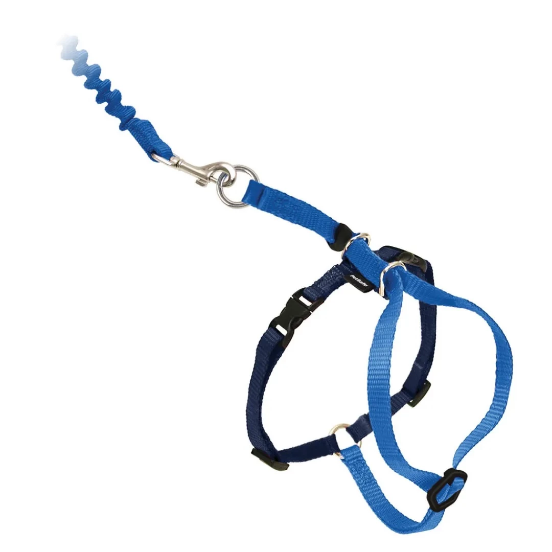 PetSafe Come With Me Kitty Harness & Bungee Cat Leash, Royal Blue/Navy, Large 1 PetSafe Come With Me Kitty Harness & Bungee Cat Leash, Royal Blue/Navy, Large