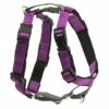 PetSafe 3 In 1 Dog Harness, Plum, Small