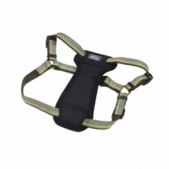 K9 Explorer Reflective Adjustable Padded Dog Harness, Fern, 1-in X 20-30-in