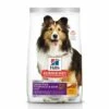 Hill's Science Diet Adult Sensitive Stomach & Skin Chicken Dry Dog Food, 15.5-lb