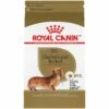 Royal Canin Breed Health Nutrition Dachshund Adult Dry Dog Food, 10-lb