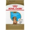 Royal Canin Breed Health Nutrition Dachshund Puppy Dry Dog Food, 2.5-lb