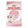 Royal Canin Feline Health Nutrition Kitten Dry Cat Food (**), 3.5-lb