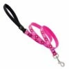 Lupine Pet Original Designs Padded Handle Dog Leash, Puppy Love, 3/4-in X 6-ft