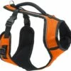 PetSafe EasySport Dog Harness, Orange, Medium