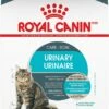 Royal Canin Feline Care Nutrition Urinary Care Dry Cat Food, 3-lb