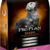 Purina Pro Plan Savor Adult Shredded Blend Salmon & Rice Formula Dry Dog Food, 5-lb