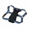 K9 Explorer Reflective Adjustable Padded Dog Harness, Sapphire, 1-in X 20-30-in