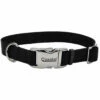 Coastal Adjustable Collar With Metal Buckle For Dogs, Black, 1-in X 18-in-26-in