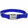 Coastal Adjustable Collar With Metal Buckle For Dogs, Blue, 1-in X 18-in-26-in