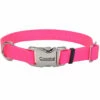 Coastal Adjustable Collar With Metal Buckle For Dogs, Neon Pink, 3/4-in X 14-in-20-in