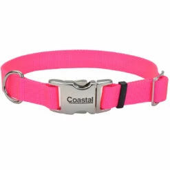 Coastal Adjustable Collar With Metal Buckle For Dogs, Neon Pink, 3/4-in X 14-in-20-in