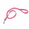 Coastal Double-Ply Dog Leash, Neon Pink, 1-in X 6-ft