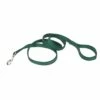 Coastal Double-Ply Dog Leash, Hunter, 1-in X 6-ft
