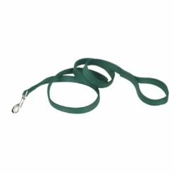 Coastal Double-Ply Dog Leash, Hunter, 1-in X 6-ft