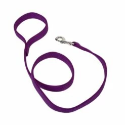 Coastal Double-Ply Dog Leash, Purple, 1-in X 6-ft