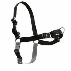 PetSafe Easy Walk Dog Harness, Black/Silver, Small