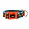 DOOG High Vis Dog Collar, Neon Beethoven, Small