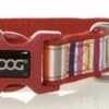 DOOG Neoprene Dog Collar, Scooby, Small