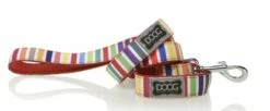 DOOG Neoprene Dog Leash, Scooby, Small