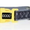 DOOG Neoprene Dog Collar, Odie, Small
