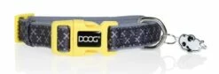 DOOG Neoprene Dog Collar, Odie, Small