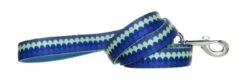 DOOG Neoprene Dog Leash, Pluto, Large