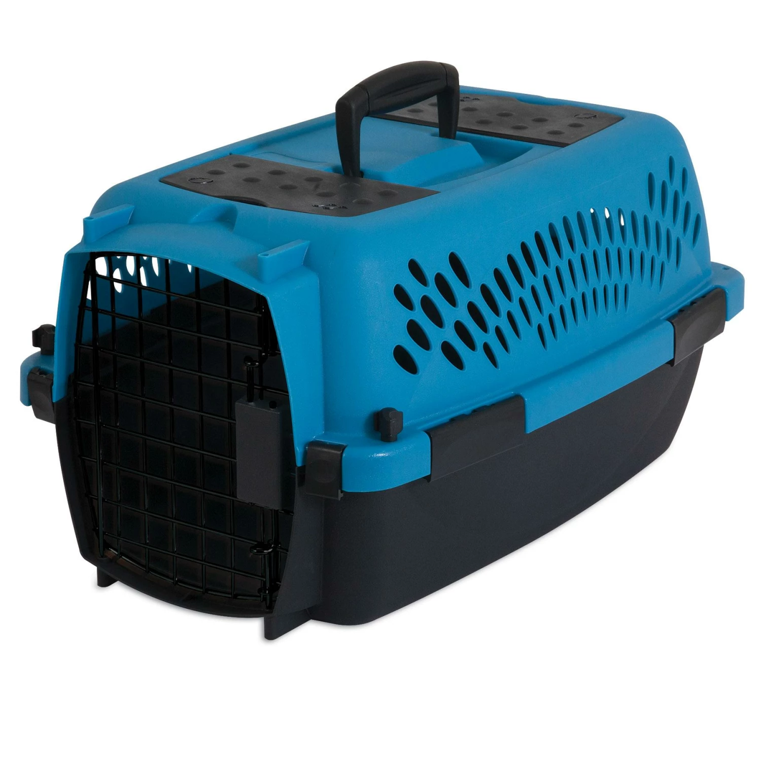 Aspen Pet Porter Fashion Dog Kennel, Breeze/Black, 19-in 1 Aspen Pet Porter Fashion Dog Kennel, Breeze/Black, 19-in