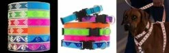 Lupine Pet Highlights Reflective Dog Collar, Pink Diamond, 3/4-in X 9-14-in 3 Lupine Pet Highlights Reflective Dog Collar, Pink Diamond, 3/4-in X 9-14-in -Staytonanimal Sales 2024 image 216831 ODvdrWI