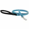 Lupine Pet Highlights Reflective Dog Leash, Blue Diamond, 1/2-in X 6-ft