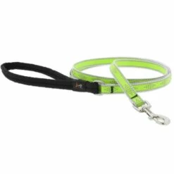 Lupine Pet Highlights Reflective Dog Leash, Green Diamond, 1-in X 6-ft