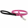 Lupine Pet Highlights Reflective Dog Leash, Pink Diamond, 1/2-in X 6-ft