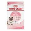 Royal Canin Feline Health Nutrition Mother & Babycat Dry Cat Food, 3-lb