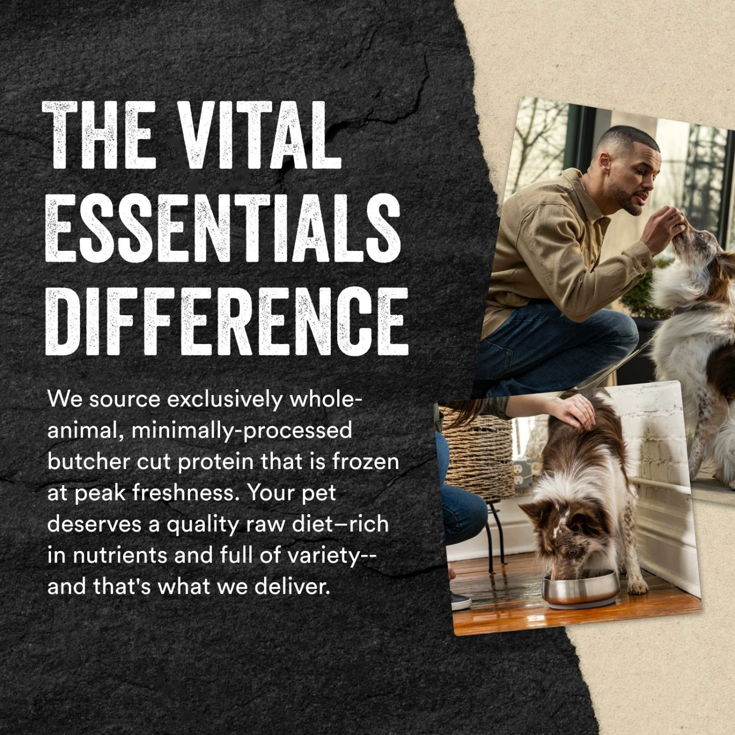 Vital Essentials Beef Protein Mix-In Ground Freeze-Dried Raw Dog Food Topper, 6-oz 3 Vital Essentials Beef Protein Mix-In Ground Freeze-Dried Raw Dog Food Topper, 6-oz - Image 3