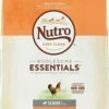 Nutro Wholesome Essentials Senior Farm Raised Chicken, Brown Rice & Sweet Potato Recipe Dry Dog Food, 15-lb