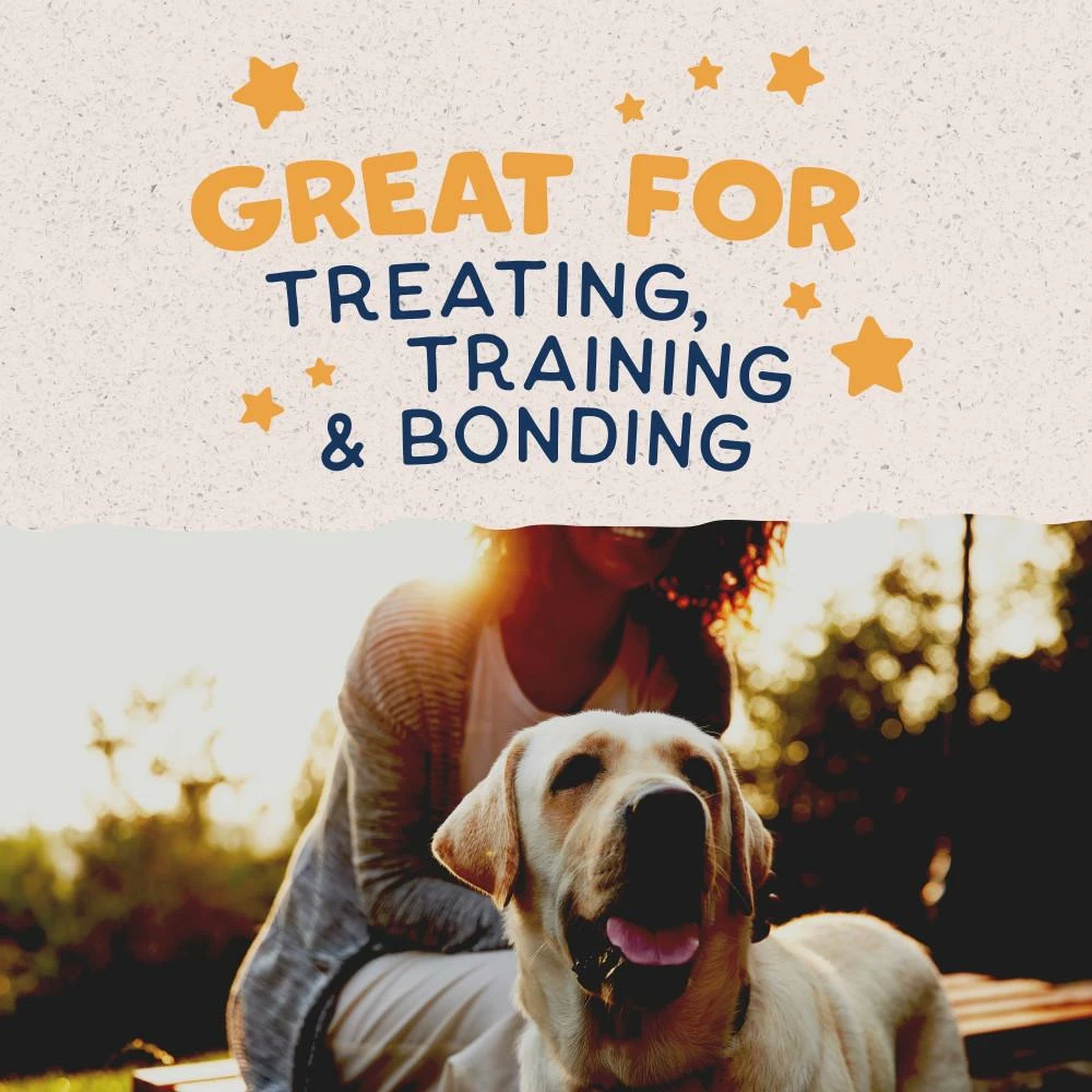 Natural Balance Rewards Crunchy Biscuits With Real Duck Dog Treats, 14-oz 3 Natural Balance Rewards Crunchy Biscuits With Real Duck Dog Treats, 14-oz - Image 3