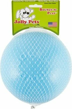 Jolly Pets Bounce-n-Play Dog Toy, Blueberry, 6-in