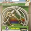 Four Paws Heavy Weight Tie Out Cable, 10-ft