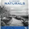 Diamond Naturals Beef Meal & Rice Formula Adult Dry Dog Food, 40-lb