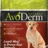 AvoDerm Natural Lamb Meal & Brown Rice Formula Adult Dry Dog Food, 15-lb