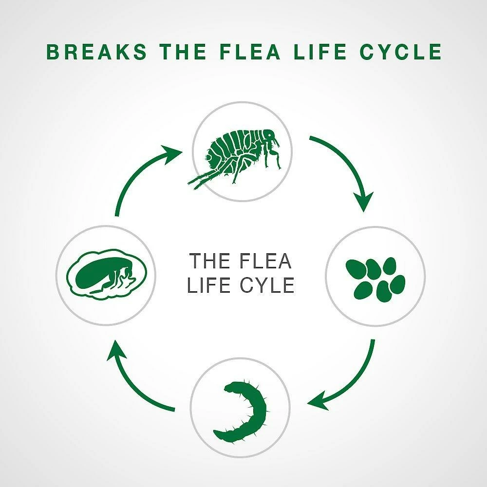 Advantage II Flea Treatment For Small Dogs 3-10-lb, 4-pk 5 Advantage II Flea Treatment For Small Dogs 3-10-lb, 4-pk - Image 5